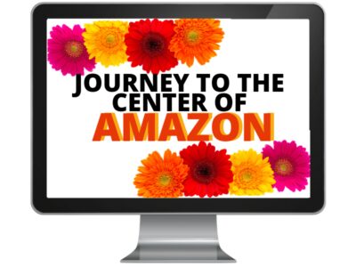 computer screen mockup for journey to the center of amazon