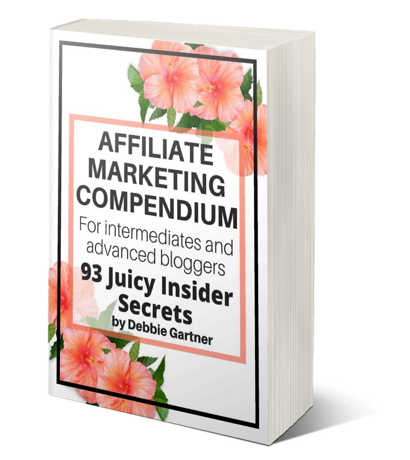 Affiliate Marketing Compendium mockup
